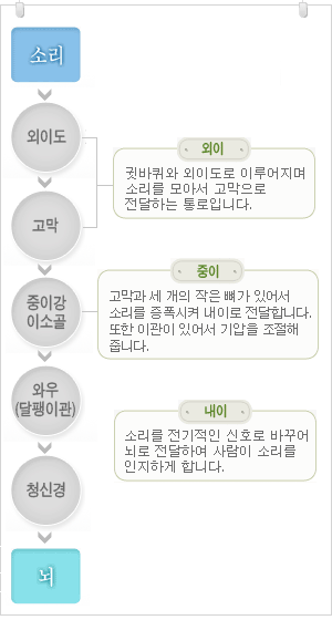 소리전달경로