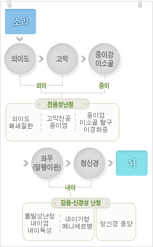 난청의종류